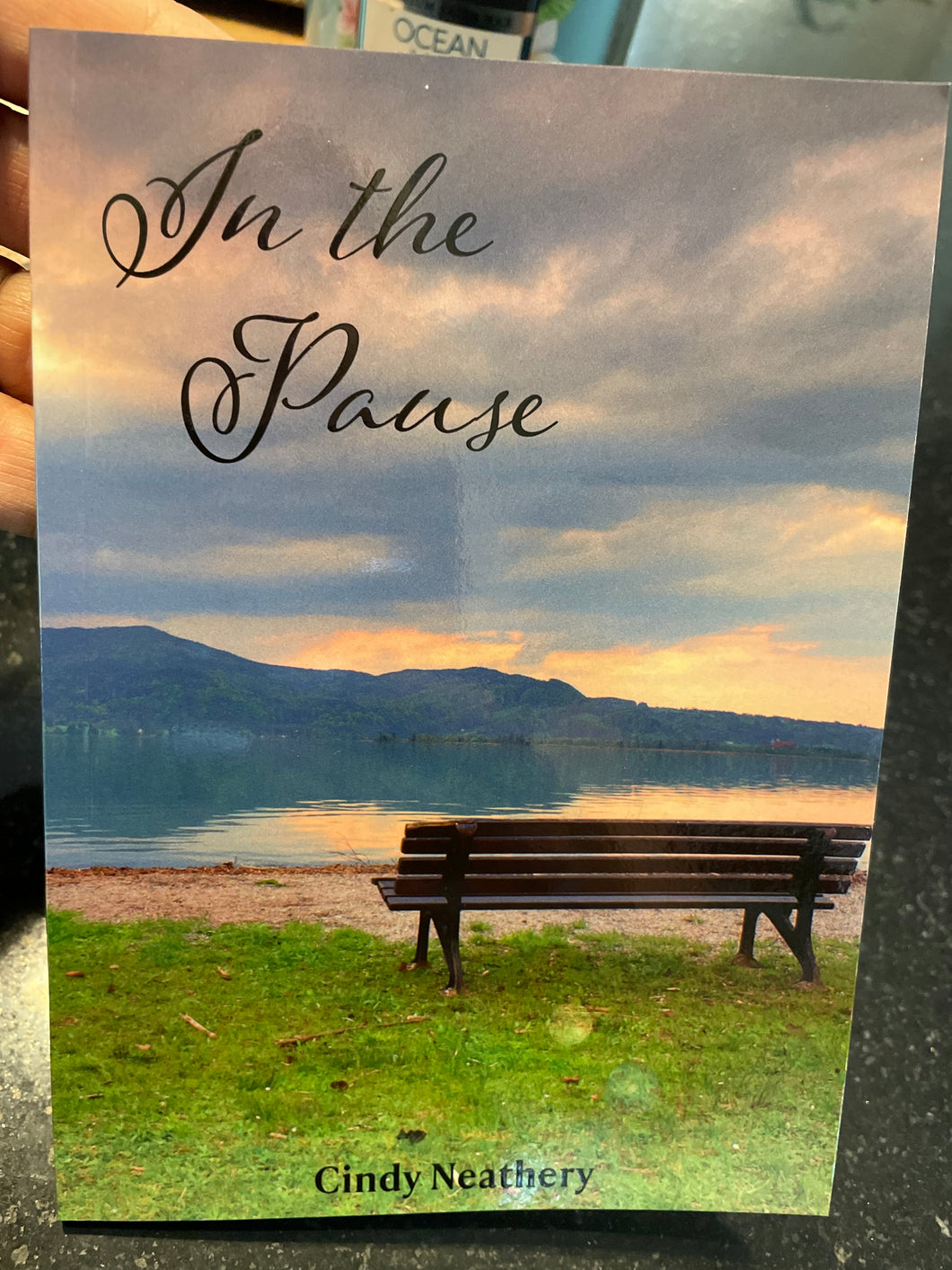 In the Pause - Book by Cindy Neathery